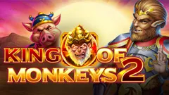 RTP Playngo jetplane168